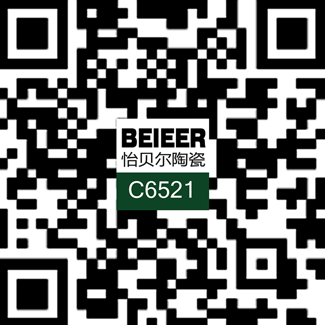 瓷片C6521二维码