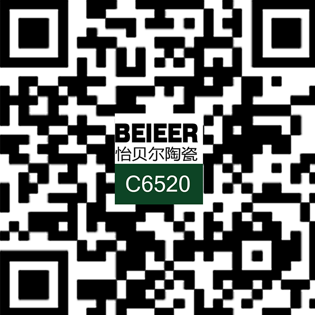 瓷片C6520二维码